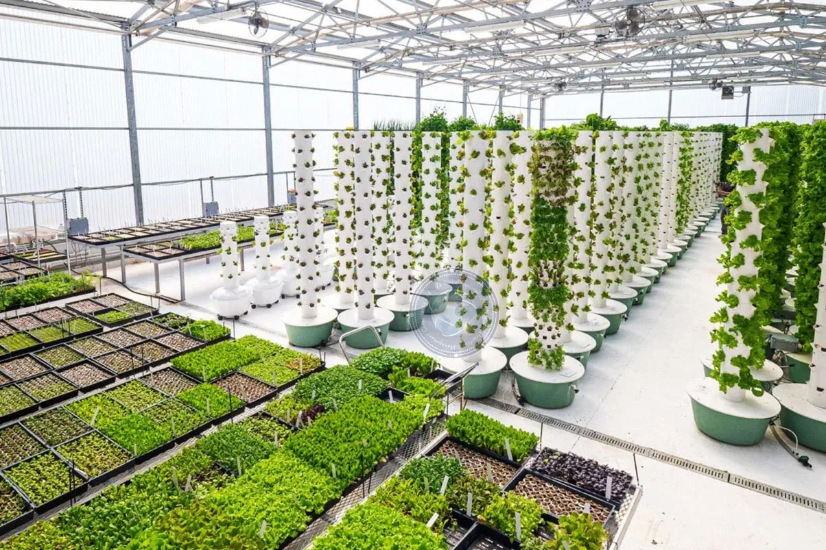 Vertical hydroponic system in a smart indoor farm in Ghana designed by ZE Global