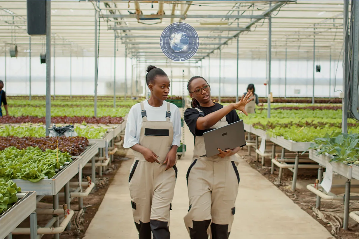 Indoor farm design in Ghana by ZE Global using vertical hydroponics and water-saving systems
